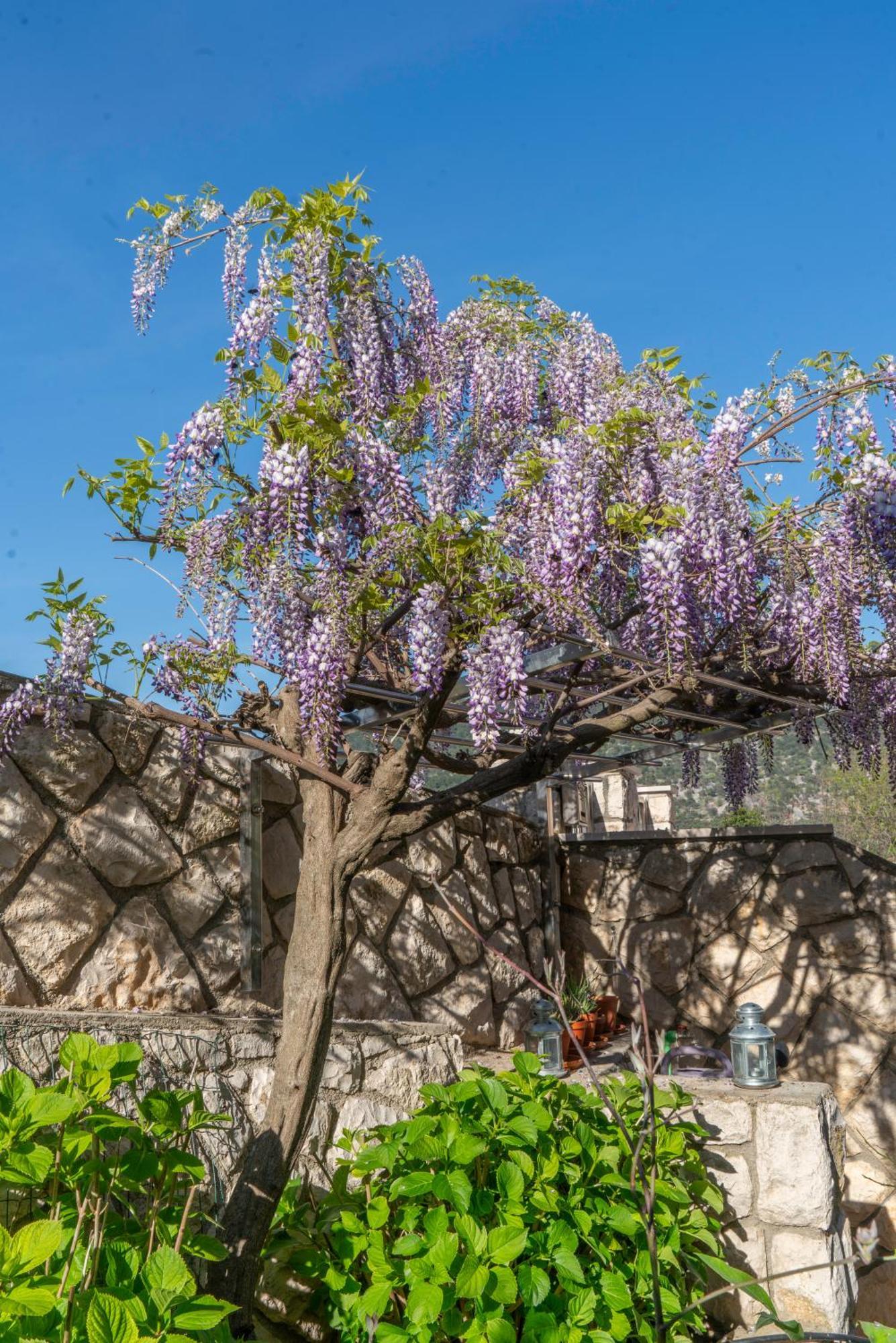 Apartments Lila Cres Rom bilde